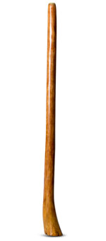 Gloss Finish Flared Didgeridoo (TW734)